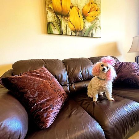 Beautiful Apartment With Pools, Playground And Paddle Tennis - Family Friendly And Near Vithas Hospital - Free Parking In Garage Benalmádena Exterior foto