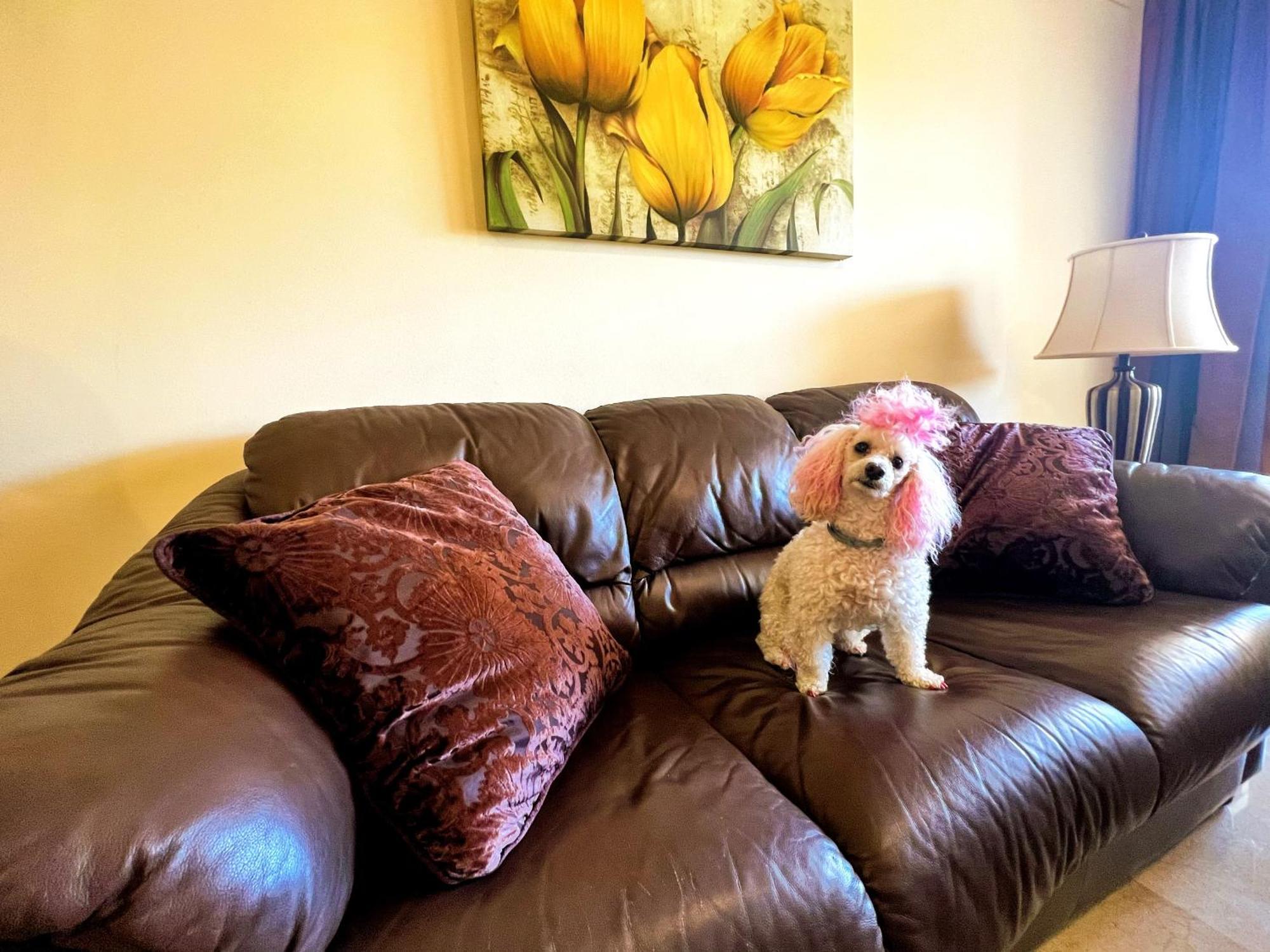 Beautiful Apartment With Pools, Playground And Paddle Tennis - Family Friendly And Near Vithas Hospital - Free Parking In Garage Benalmádena Exterior foto